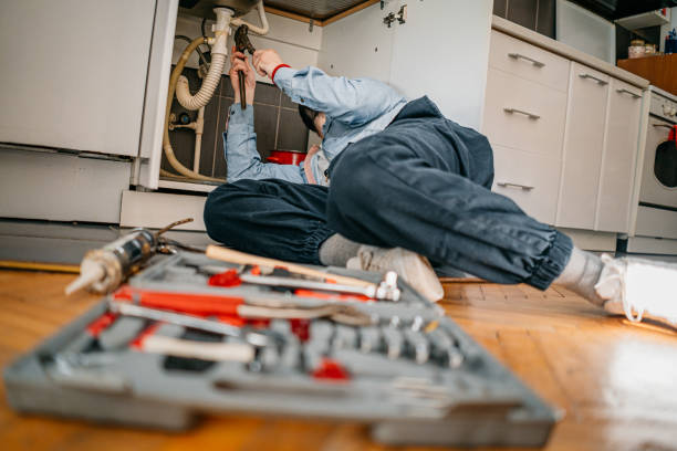Best Drain Cleaning Services  in Lton, IN